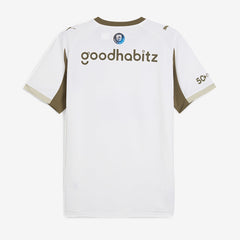 PSV 25/26 Third Shirt