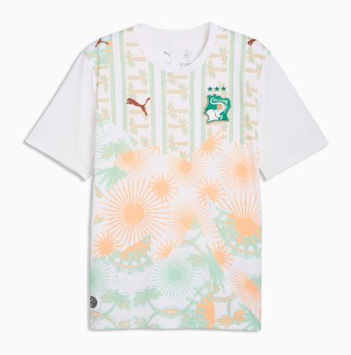 Ivory Coast 2026 World Cup Away Kit
